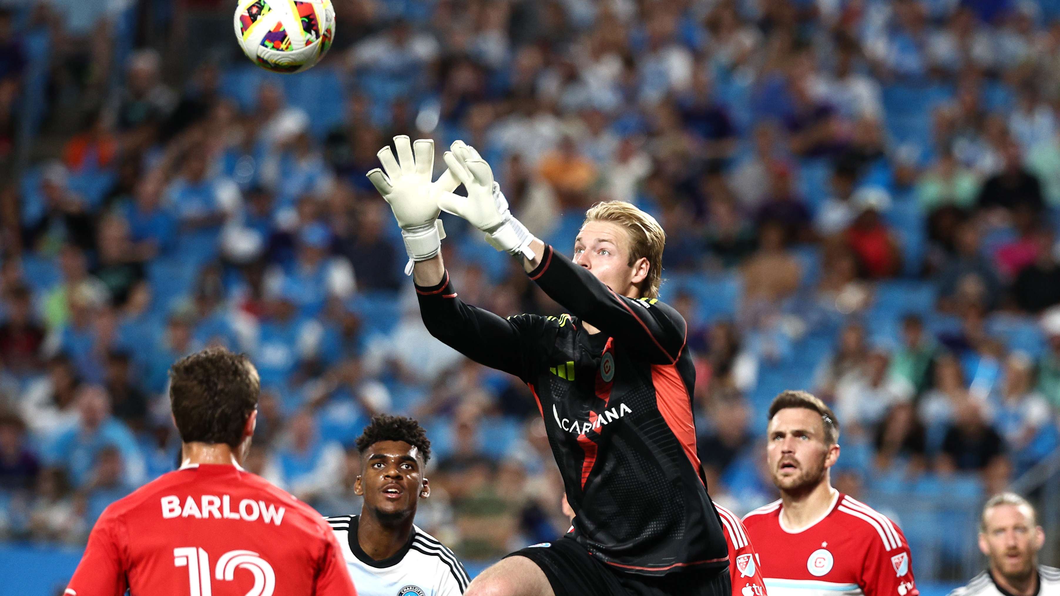 翘首以盼的 翘首以盼的